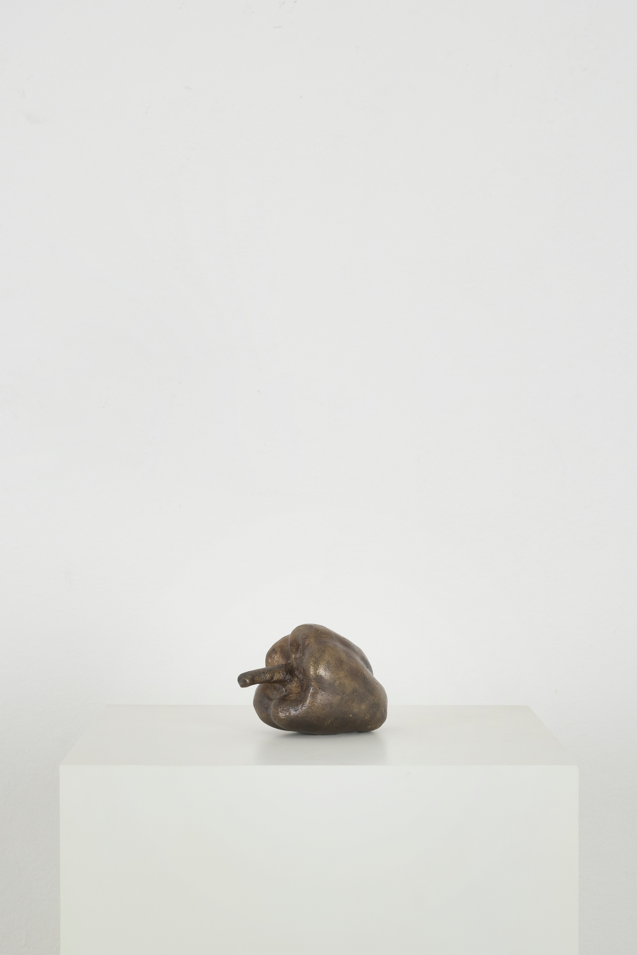 Speca, 2015